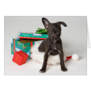 Regalo de Navidad del perrito