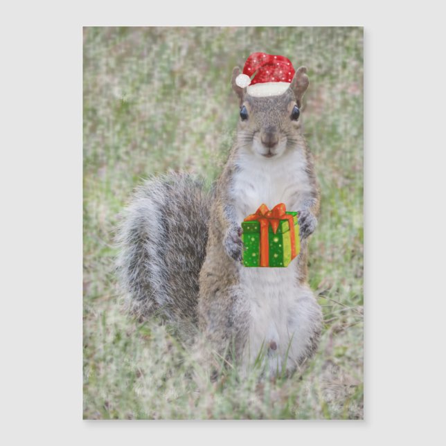 Regalo de navidades de la ardilla (Anverso)