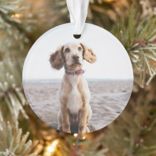 Regalo de ornamento de fotografía de perro para ár