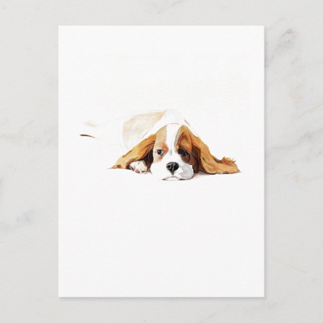 Regalo de postal del Cavalier King Charles Spaniel (Anverso)