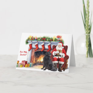 Regalo de Santa Perro Terranova Navidad