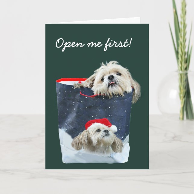Regalo del navidad de Shih Tzu (Anverso)