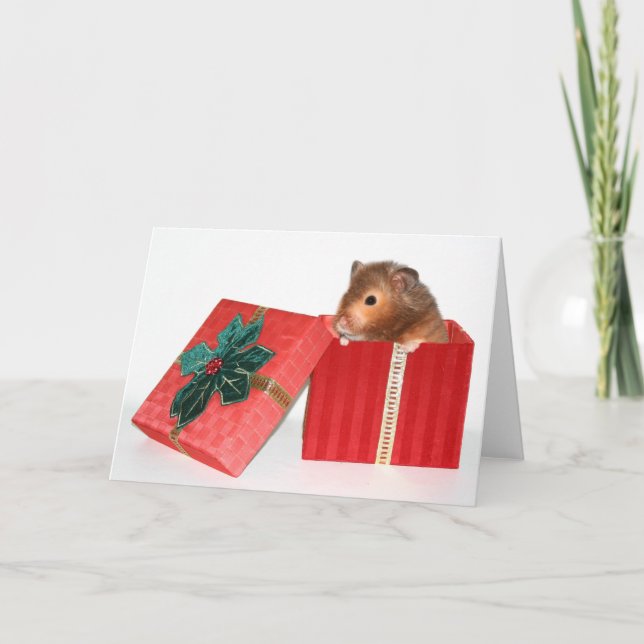 Regalo del navidad del hámster (Anverso)
