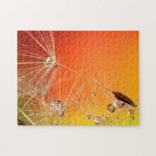 Regalo del rompecabezas de las gotas de Dandelion