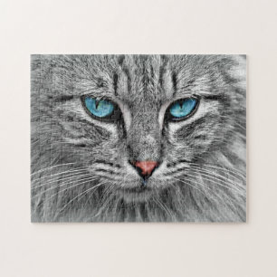 Regalo del rompecabezas del gato con ojos azules