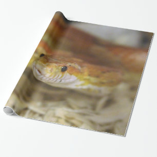 Regalo DO el papel de embalaje descarado de la serpiente