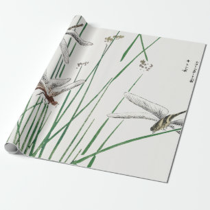 Regalo DRAGONFLY JAPONÉS Papel de ajuste