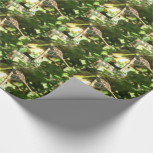 Regalo Dragonfly sobre un papel de envolvimiento de peluc