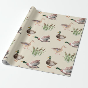 Regalo Drake de pato mallard y papel de envolvimiento de