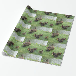Regalo Ducks el papel de envoltorio para regalos