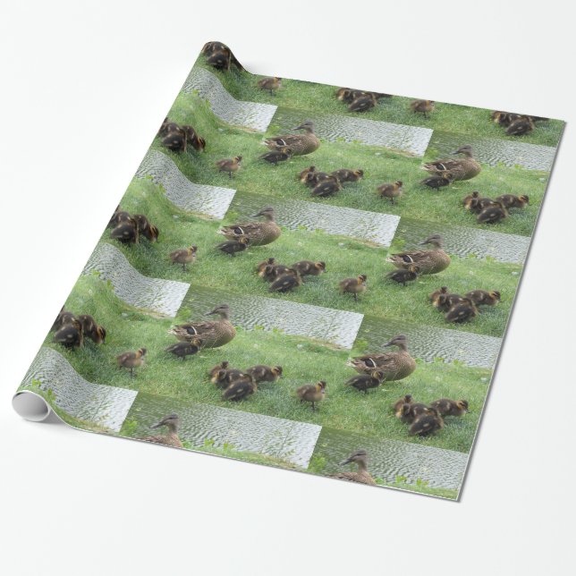 Regalo Ducks el papel de envoltorio para regalos (Desenrollado)