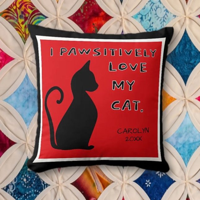 ¡Regalo! El lindo Cojín decorativo de gato Lover (Subido por el creador)