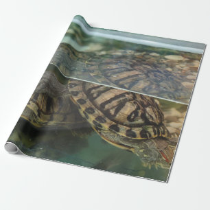 Regalo Elegante papel de envolvimiento de tortuga de tono