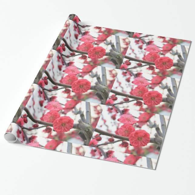 Regalo flor de ciruela primavera flores rosadas 2 papel d (Desenrollado)
