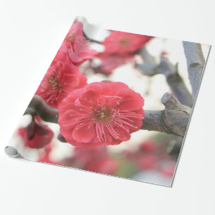 Regalo flor de ciruela primavera flores rosadas papel env