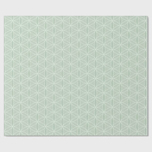 Regalo Flor verde sabrosa de papel envolvimiento de vida