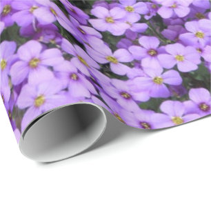 Regalo Flores violetas envueltas violetas de papel
