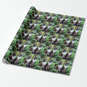 Regalo Gato de chocolate siamés gemelos, papel de envolve