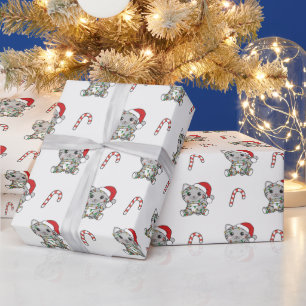 Regalo Gato Navidades Animales De Invierno Gatos Papel De