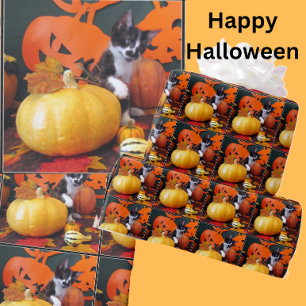 Regalo Halloween de Vaquero - Papel envuelto de gato/gati