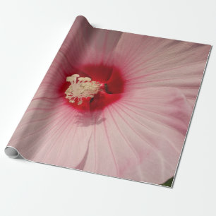 Regalo Hermosa flor rosa cierra el papel de ajuste de fot