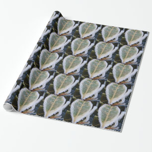 Regalo Hojas de papel envueltas con hielo