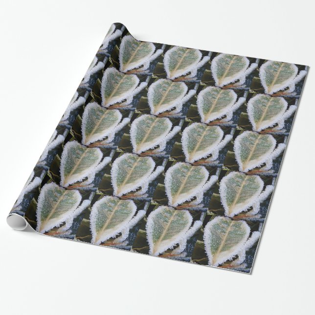 Regalo Hojas de papel envueltas con hielo (Desenrollado)
