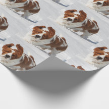 Hound Basset En Papel De Envoltura De Nieve