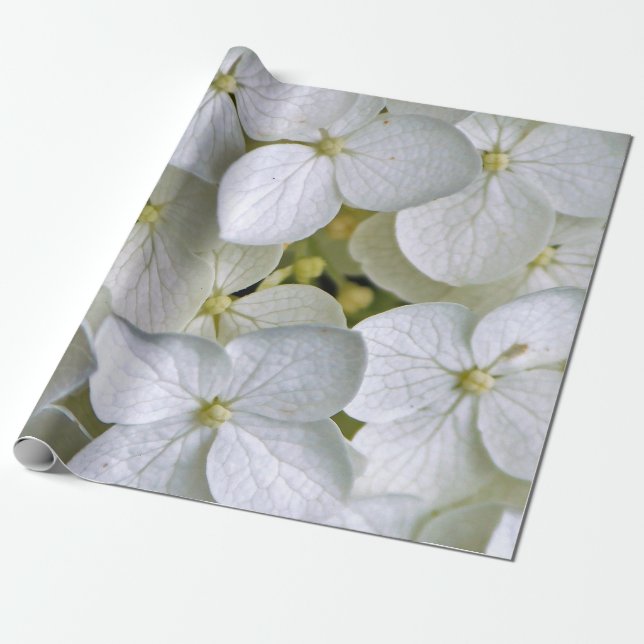 Regalo Hydrangea 6775 Papel de ajuste (Desenrollado)