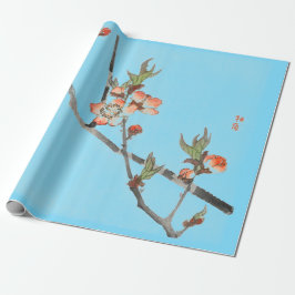 Regalo Impresión japonesa del papel de embalaje de la