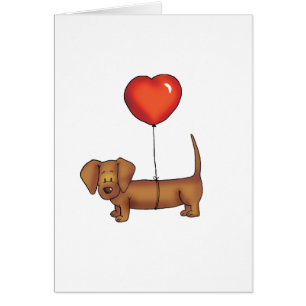 Regalo lindo del Dachshund