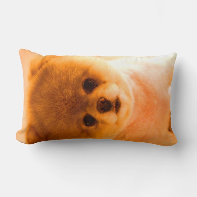 Regalo lumbar de la almohada de la foto (Anverso)