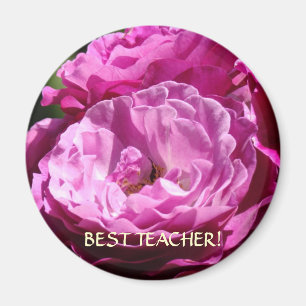 REGALO MEJOR MAESTRO Rosa Imán Rosas Navidad