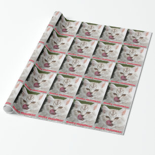 Regalo Navidad lindo, papel de Meowy de embalaje