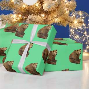 REGALO NAVIDADES DE OSO GRIZO ENVÍAN PAPEL