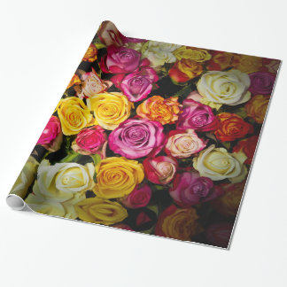 Regalo Papel de ajuste