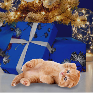 Regalo Papel de ajuste