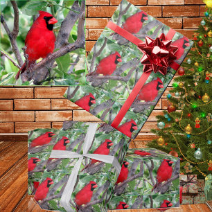 Regalo Papel de ajuste cardinal
