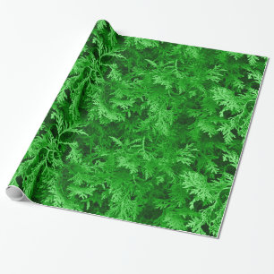 Regalo Papel de ajuste de cedro verde