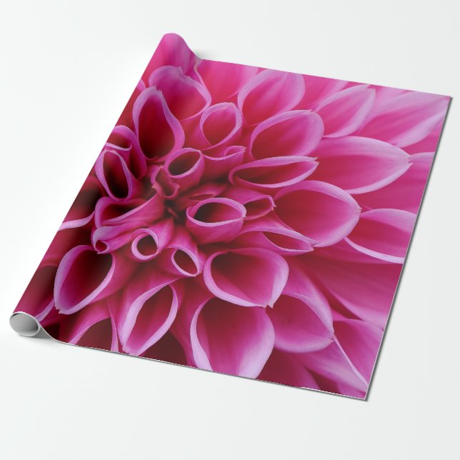 Regalo Papel de ajuste de cierre de flor rosa (Desenrollado)