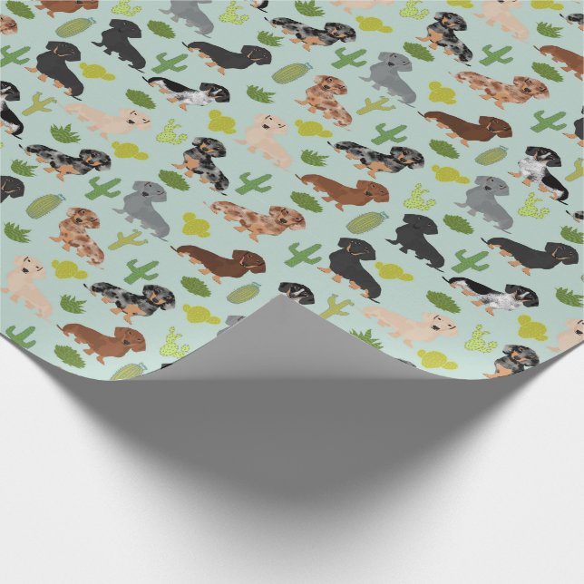Regalo Papel de ajuste de Doxie Dachshund Cactus (Esquina)