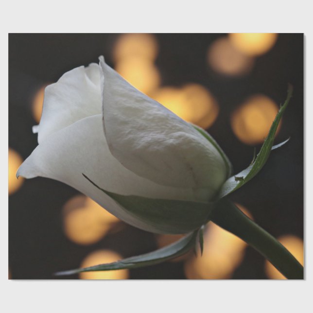 Regalo Papel de ajuste de El día de San Valentín de rosa  (Superficie plana)