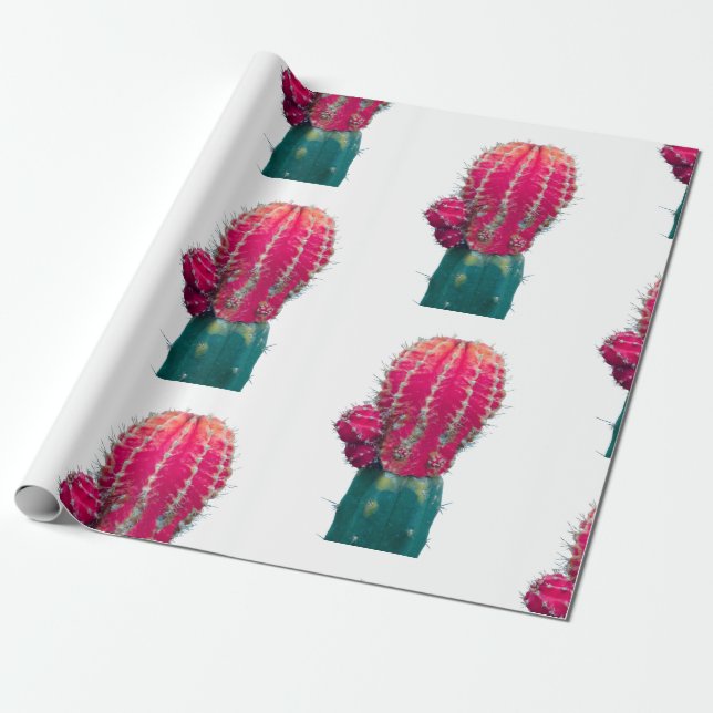 Regalo Papel de ajuste de foto de Cactus rosado (Desenrollado)