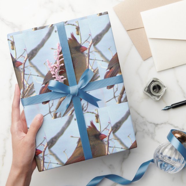 Regalo Papel de ajuste de foto del cardenal norte (Subido por el creador)