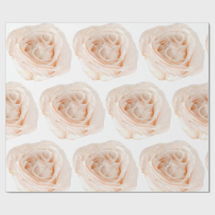 Regalo Papel de ajuste de la flor de rosa blanca