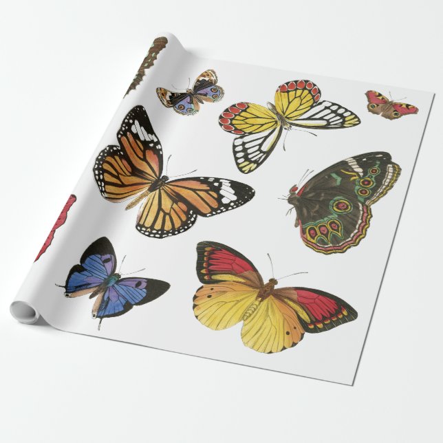 Regalo Papel de ajuste de mariposas (Desenrollado)
