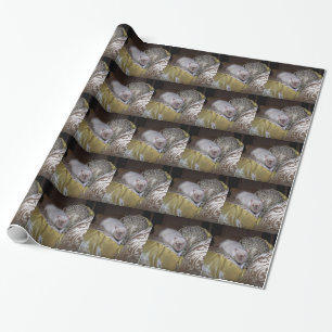 Regalo Papel de ajuste de mascota Rat Duncan