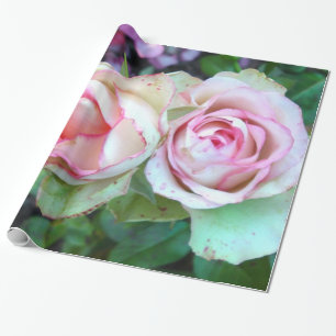 Regalo Papel de ajuste de rosas rosadas