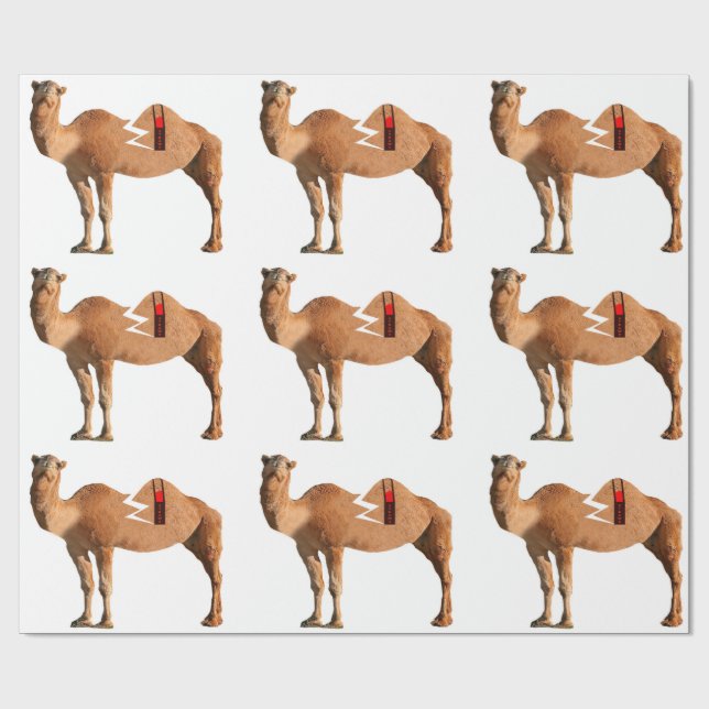 Regalo Papel de ajuste del divorcio (Superficie plana)