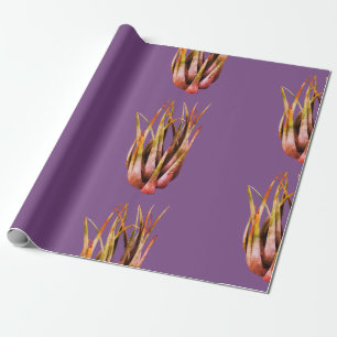 Regalo Papel de ajuste fotográfico de ALoe Vera
